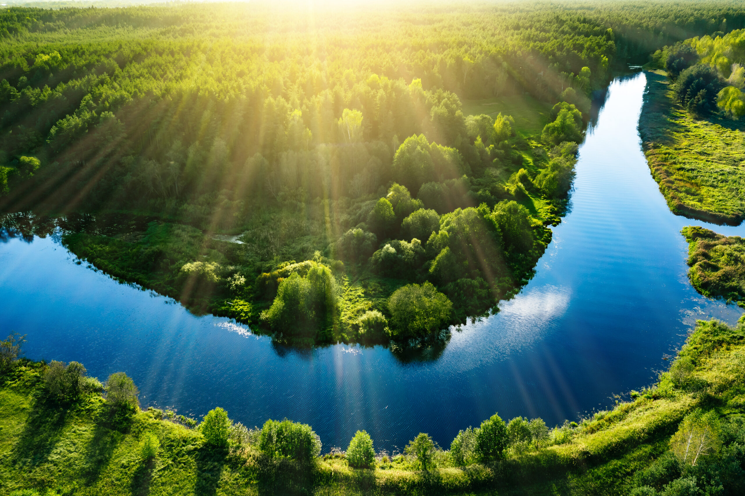 Aerial drone view of blue winding river and green summer fields and woods. Sunrise over river in summer